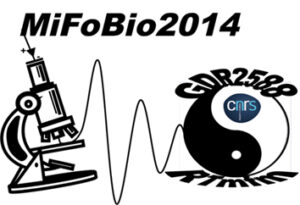 Logo Mifobio 2014